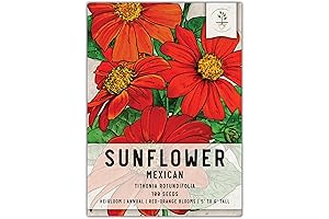 Seed Needs Tithonia Seeds: 100 Seeds for Planting Tithonia rotundifolia