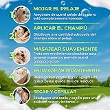 Ver la foto 4