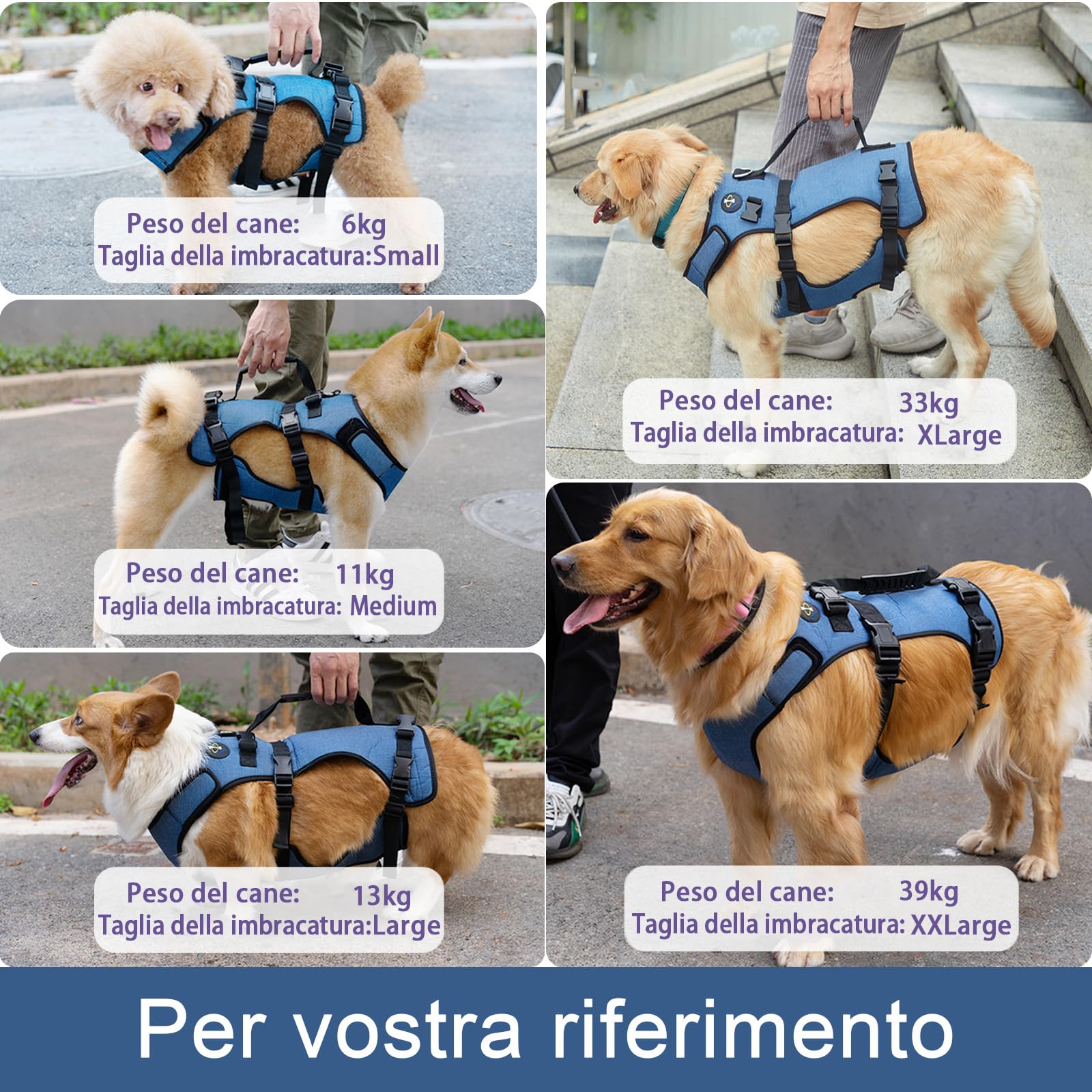 COODEO Imbracatura Sollevamento Cani, Supporto Integrale & Fascia Riabilitazione con Spalline Regolabili/Traspiranti per Cani Anziani, Disabili, con Artrite, Paralisi o Problemi Articolari (blu,M)
