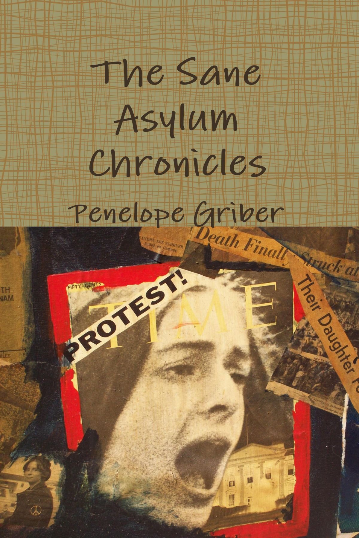 The Sane Asylum Chronicles