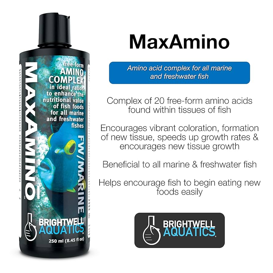 Amazon.com : Brightwell Aquatics MaxAmino - Liquid Amino