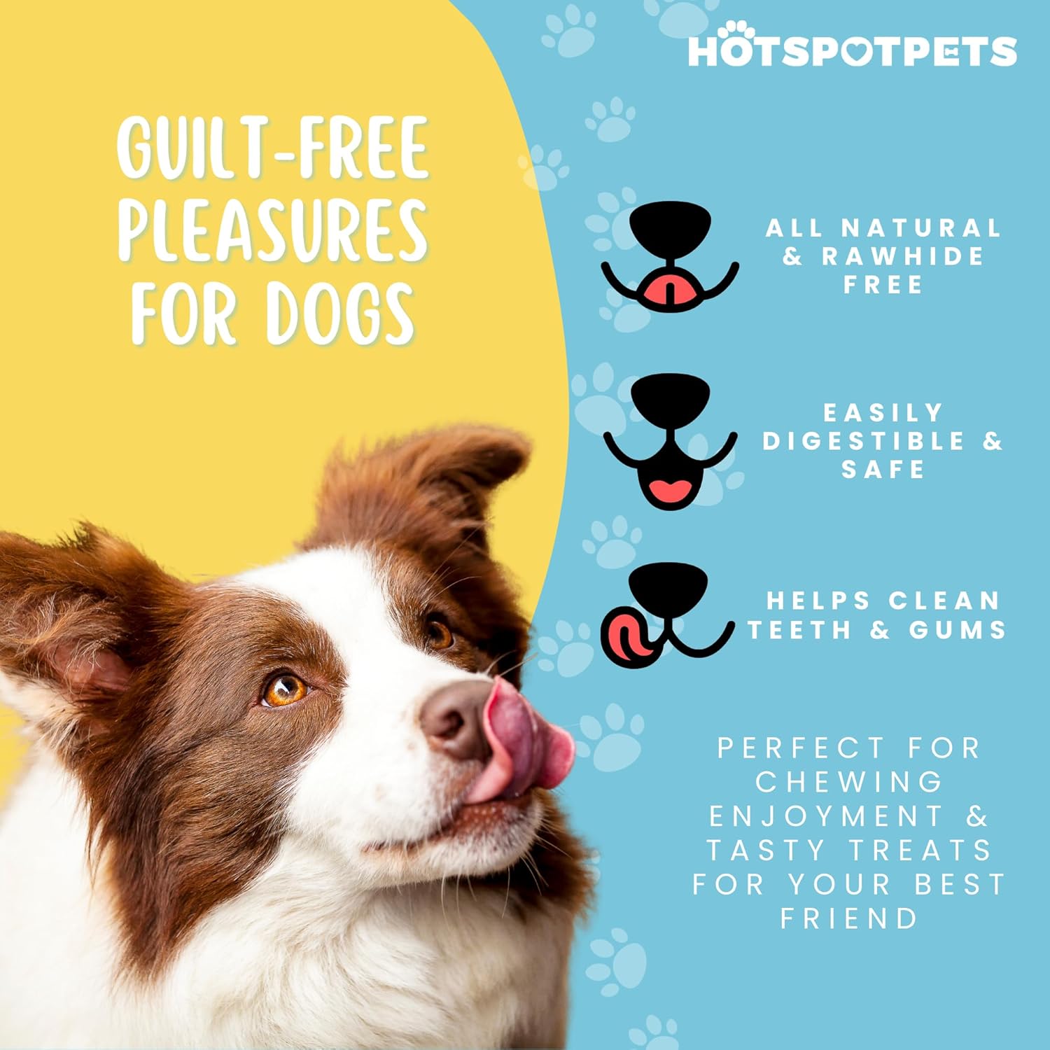 hotspot pets Bully Sticks 6 Inch-(30 Pack) Premium Natural Long Lasting Bully Sticks for Medium Dogs Beef Pizzle Treats - Grain Free Fully Digestible Rawhide Alternative Stix