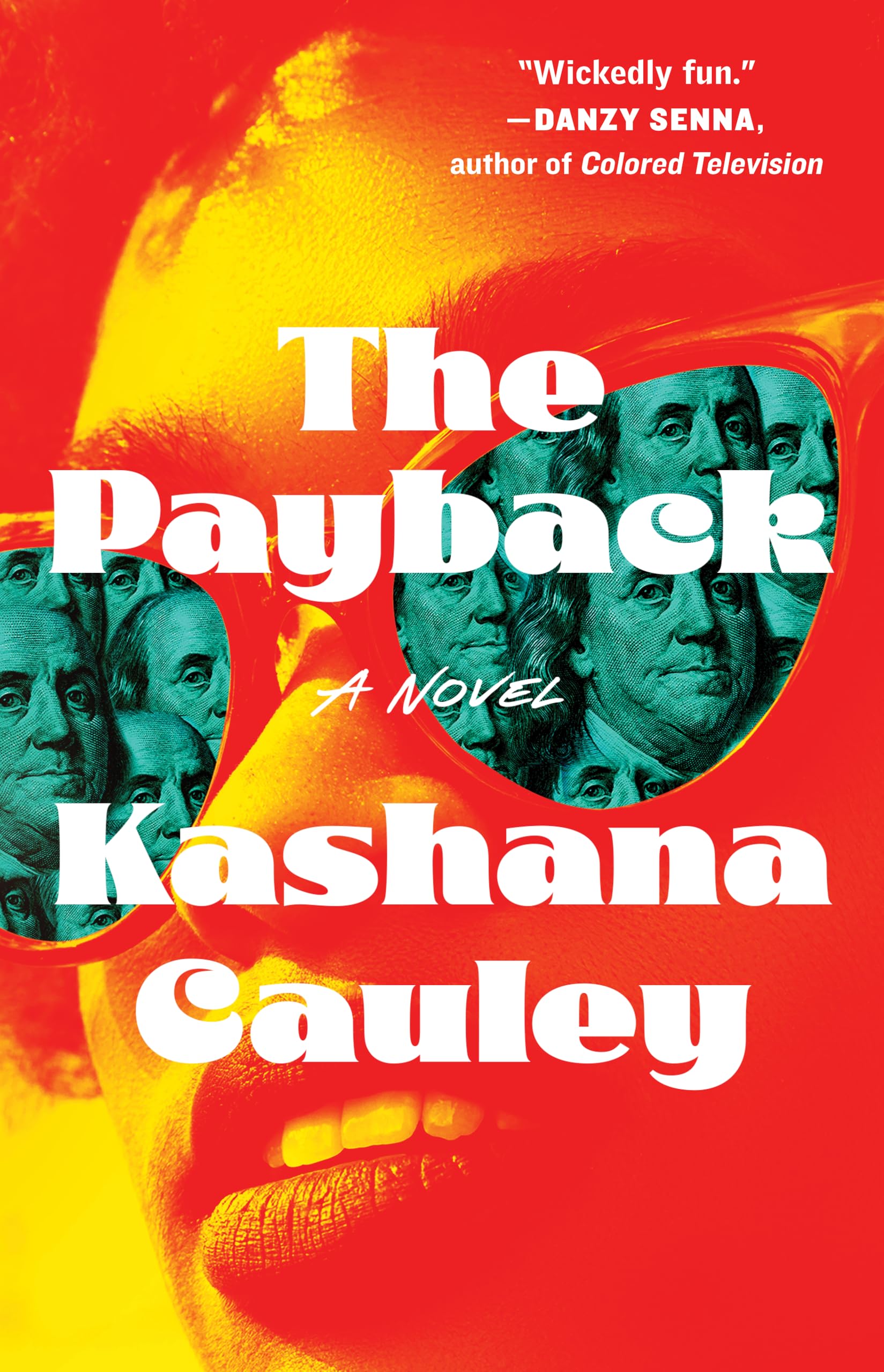 The Payback: A Novel