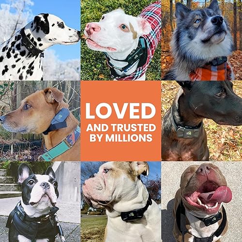 Miniatura 7 de DOG CARE Collar de entrenamiento para perros con control remoto profesional, 2 collares receptores de choque para perros con 3 modos, IP67