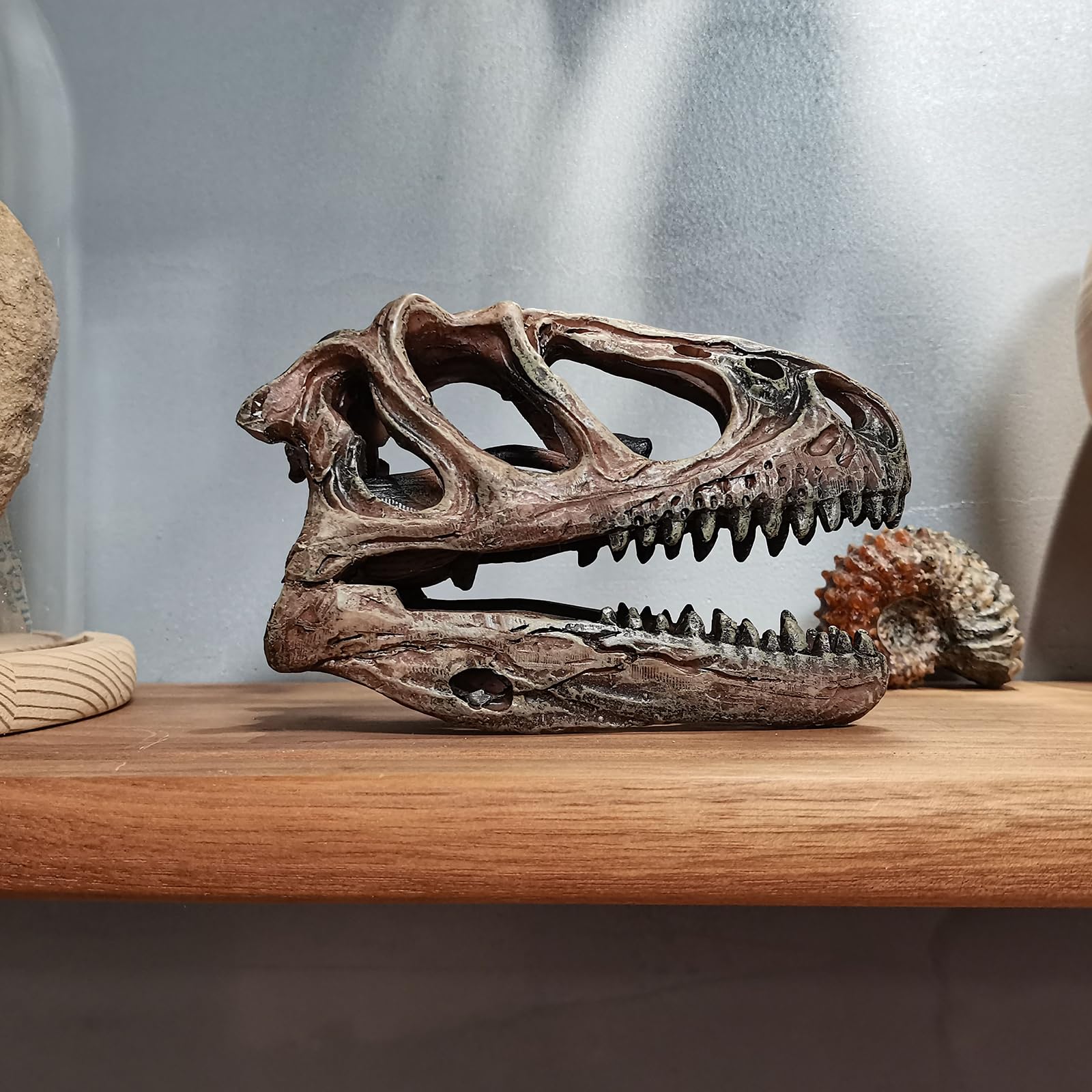Rzemiosło z żywicy Tyranozaur Rex czaszka skamieniałość dinozaur czaszka model, dinozaur ząb czaszka skamielina, rekwizyty fotograficzne narzędzie dydaktyczne
