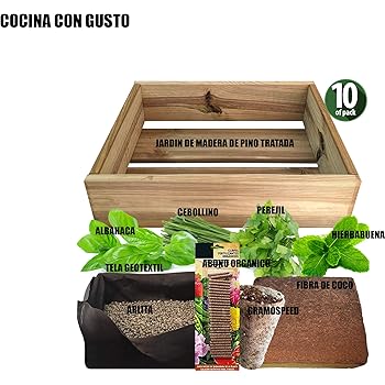 Garden Pocket - Kit de Cultivo de ENELDO - Bolsa Maceta: Amazon.es ...