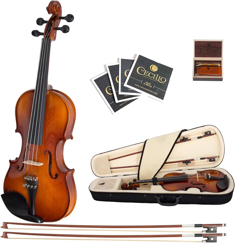 Cecilio 4/4 CVN-300 Ebony Fitted Solid Wood Violin : Amazon.in