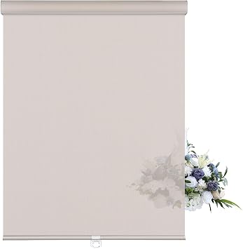Custom Light Filtering Roller Shades for Windows Cordless Solar Roller Blinds 5% Openness with Cassette Valance Room Darkening & Glare Reduce Window Shades for Home Office Living Room Beige