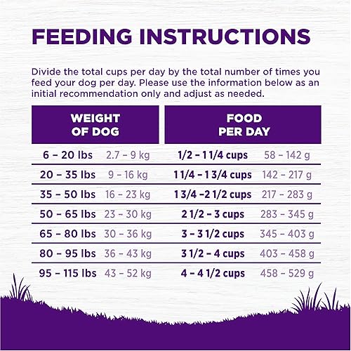 Miniatura 8 de Alimento seco natural para perro, Wellness Complete Health