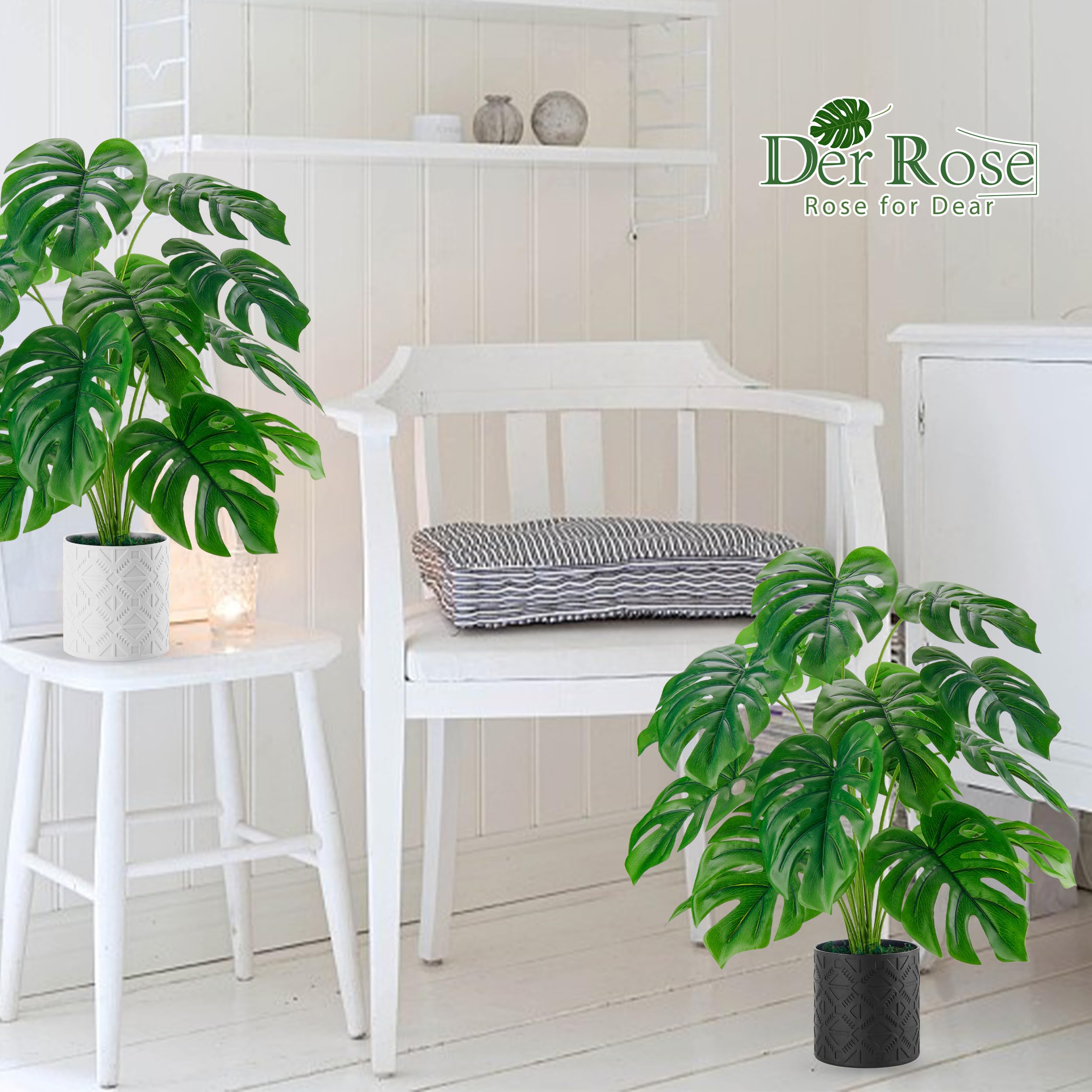 monstera kippt Monstera Monkey Leaf | 170cm