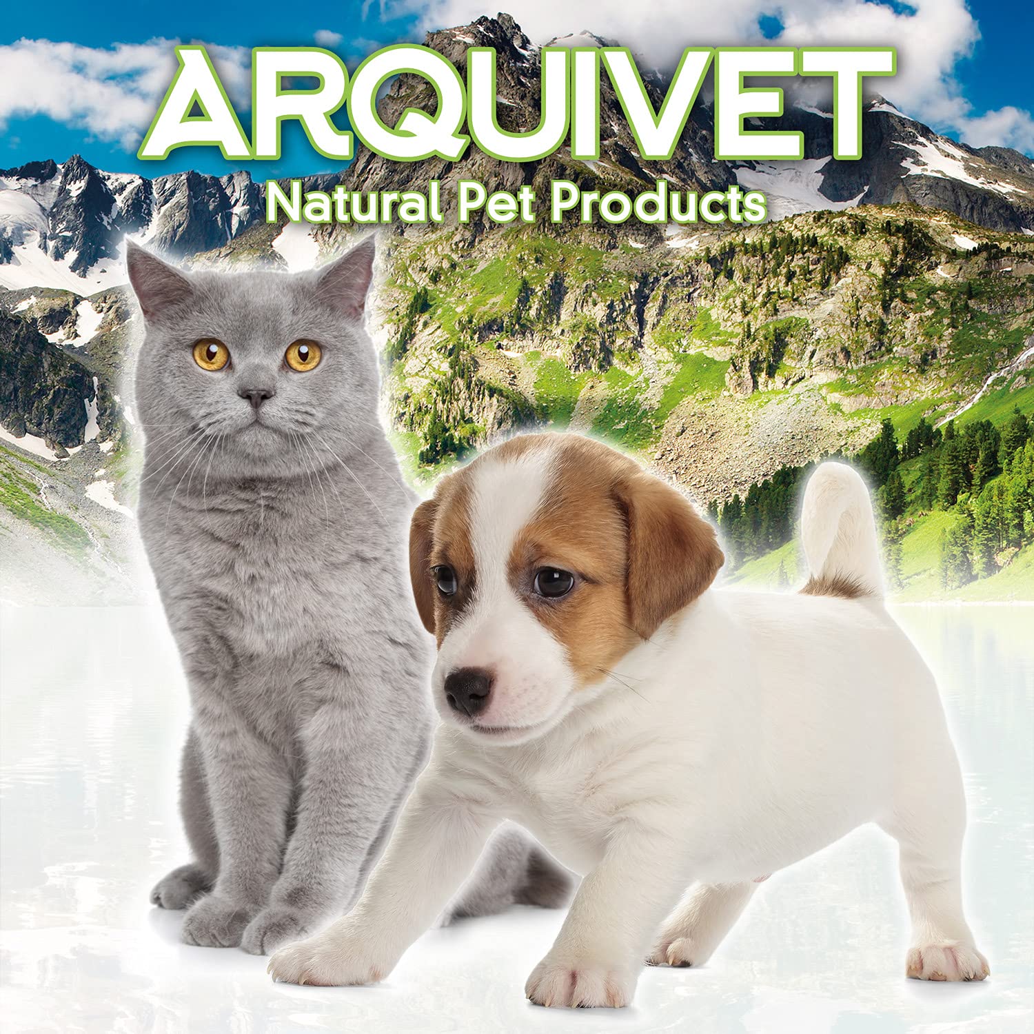 ARQUIVET Cage de transport - 54 x 36 x 33 cm - Chiens et chats de petite ou moyenne, gros rongeurs - Transport en train et en voiture