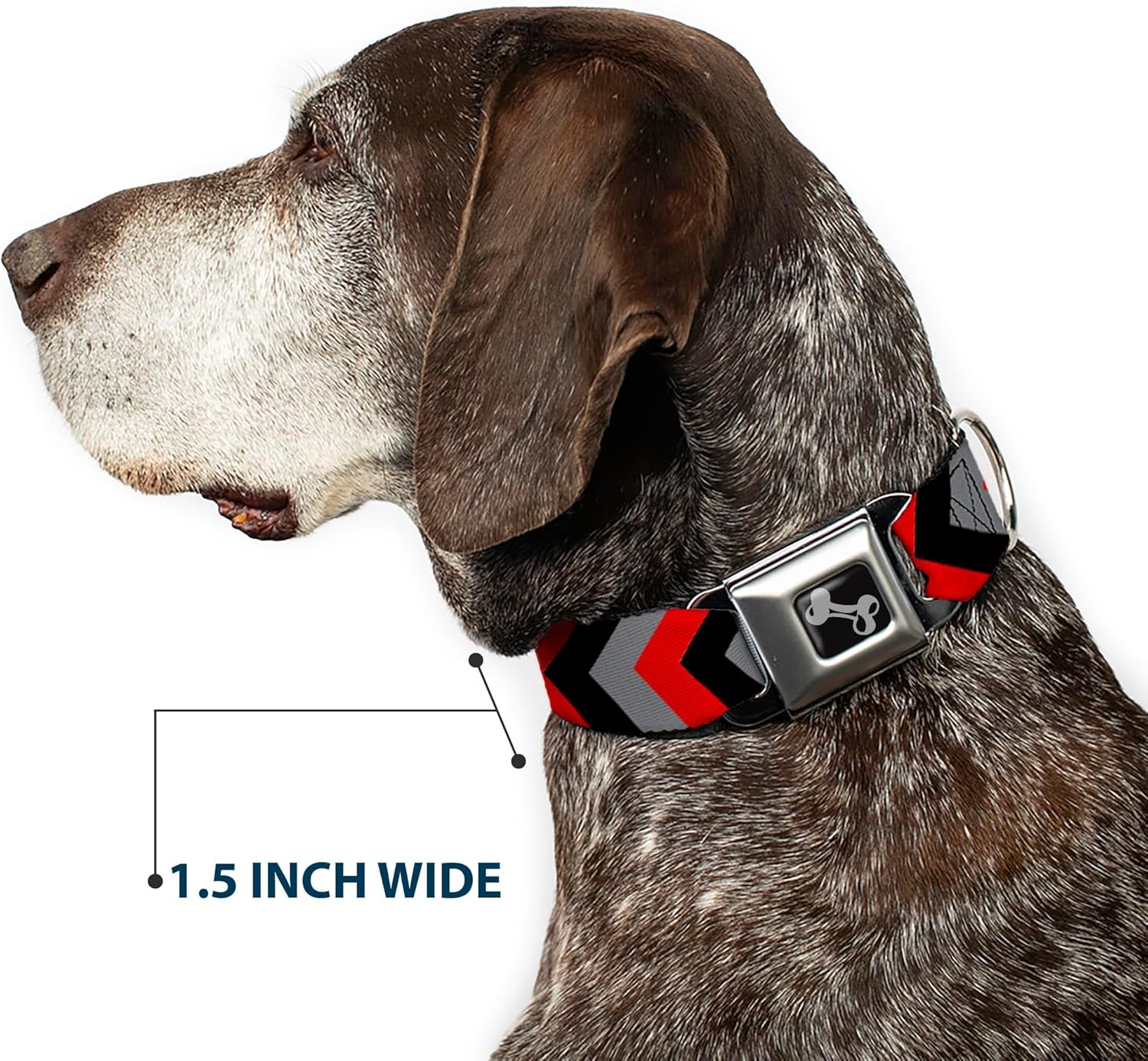 Buckle-Down 16-23" Chevron Red/Black/Gray Dog Collar Bone, Wide Medium