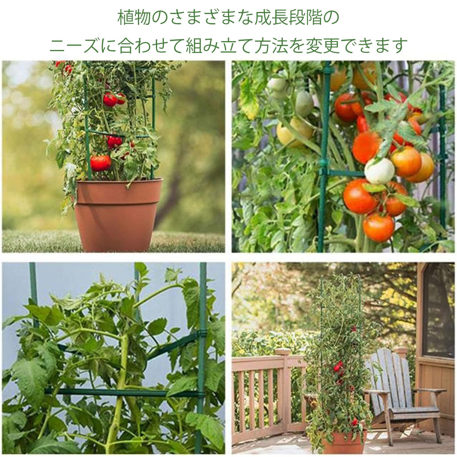 トマト支柱 新品350本 【公式通販】
