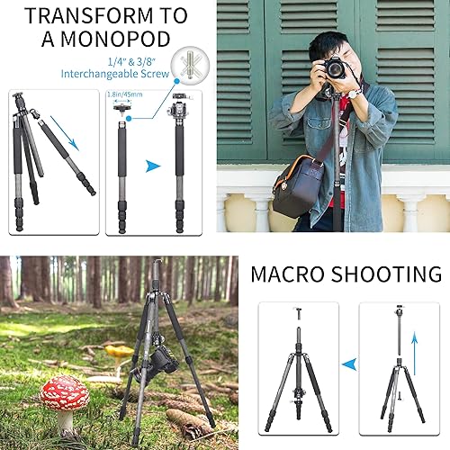 Miniatura 4 de INNOREL RT45C+N36 - Trípode de fibra de carbono portátil de 10 capas de viaje profesional compacto ligero para videocámara DSLR con cabezal de bola