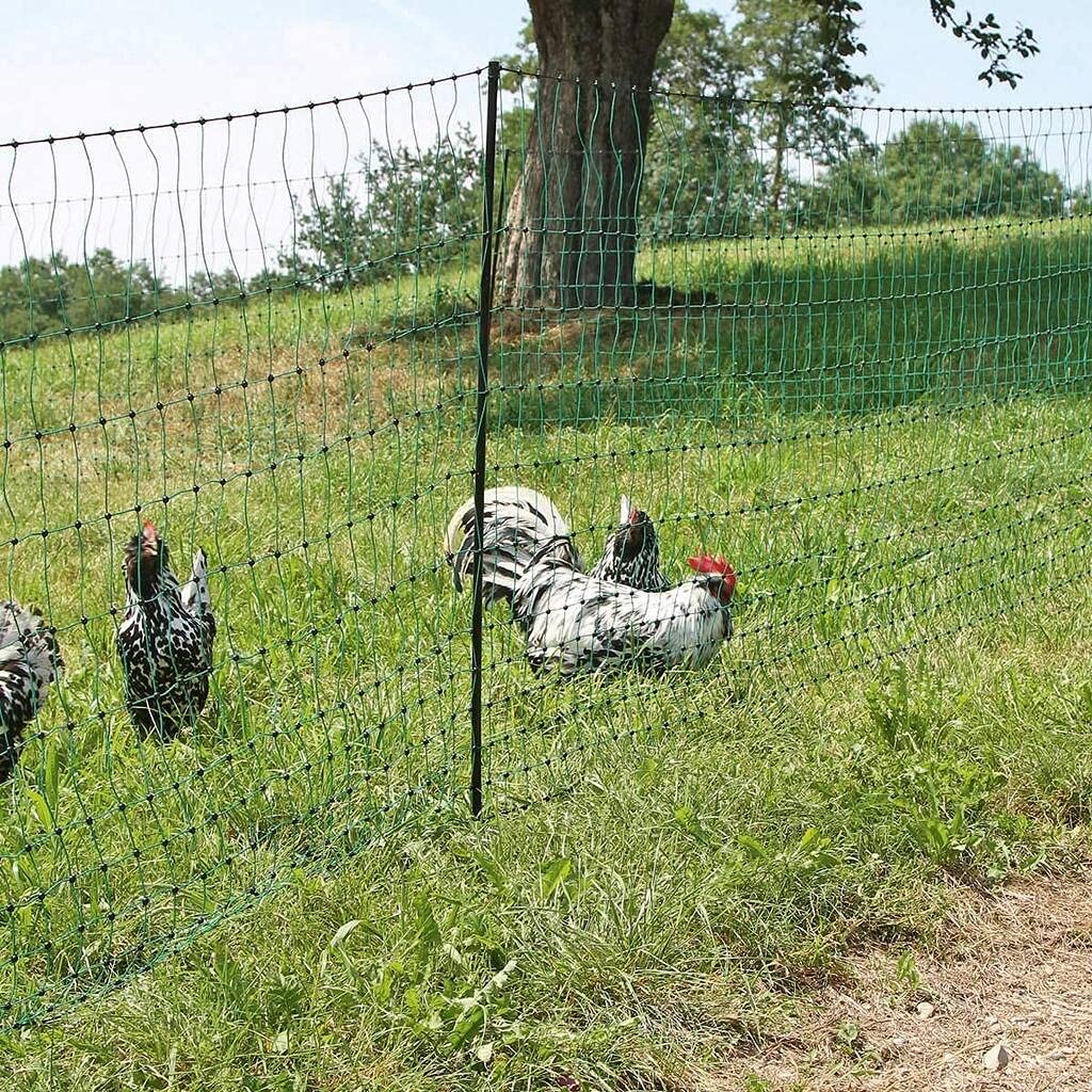 Agrarzone Hühnerzaun Komplett-Set 50m x 112cm Geflügelnetz Weidezaun Hühner | Weidezaungerät, mobiler Geflügelzaun, mit Strom, 12V, 230V