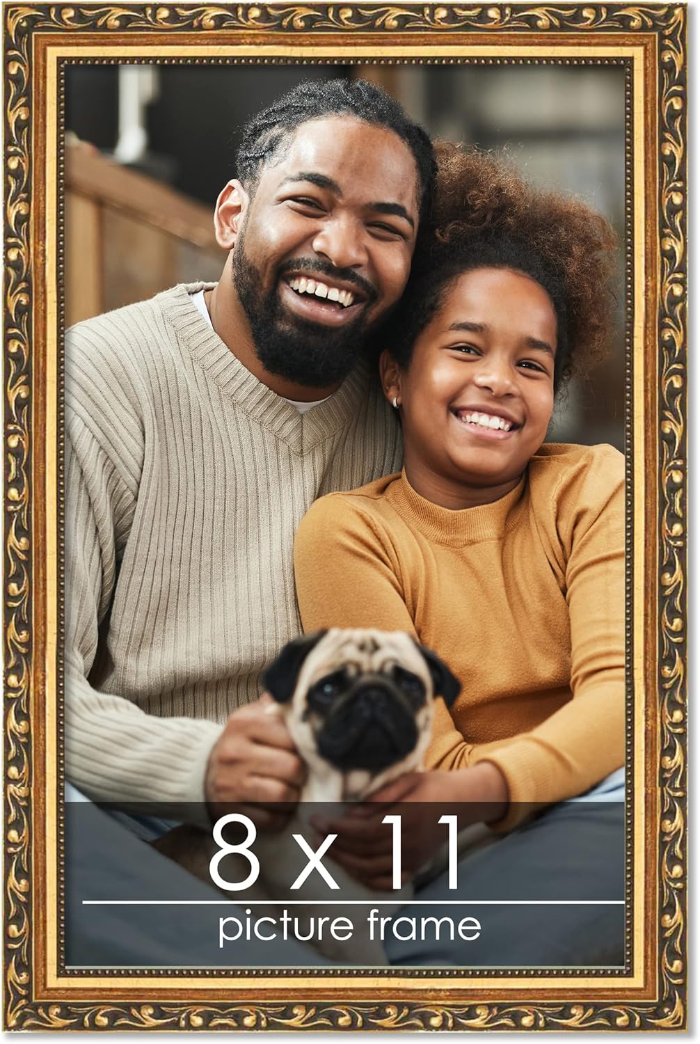 Poster Palooza 8x11 Traditional Gold Picture Frame with UV