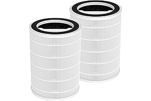 G200S Air Purifier Replacement Filter (2 Pack)