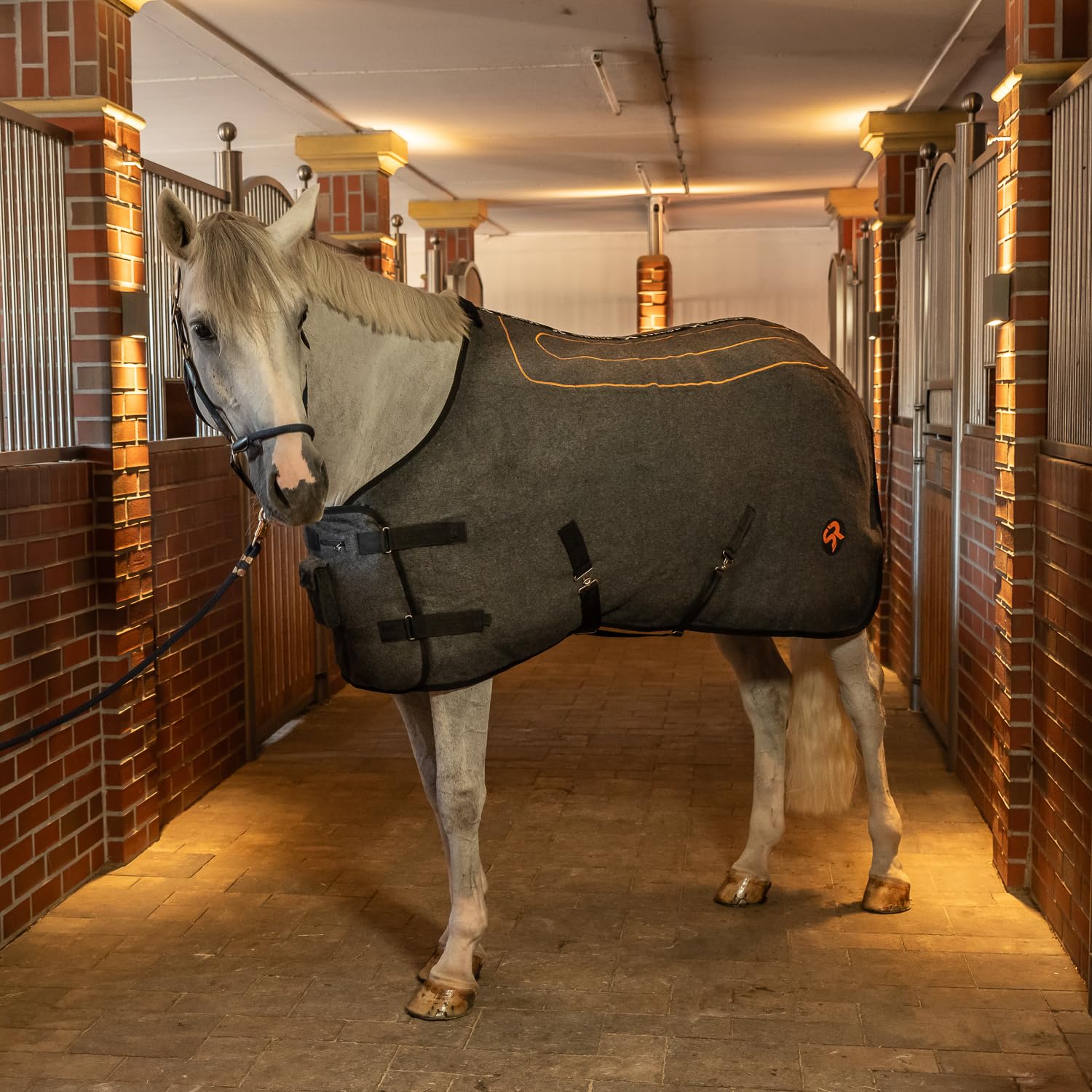 SUNRIDE Heizdecke für Pferde - Therapiedecke - 3 Wärmestufen - effektive Kontaktwärme - Premium Wolle - isolierter Rückenbereich - mit Eremit Akku und Ladekabel - unterstützt PSSM und MIM (165cm)