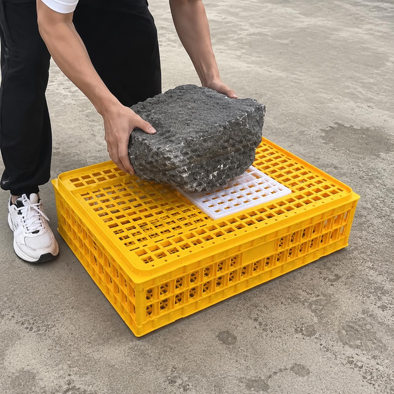 Jaula Transporte para Aves y Conejos, Transportín Plástico Robusto para un Viaje Sereno Pollos, s, s, Amarillo