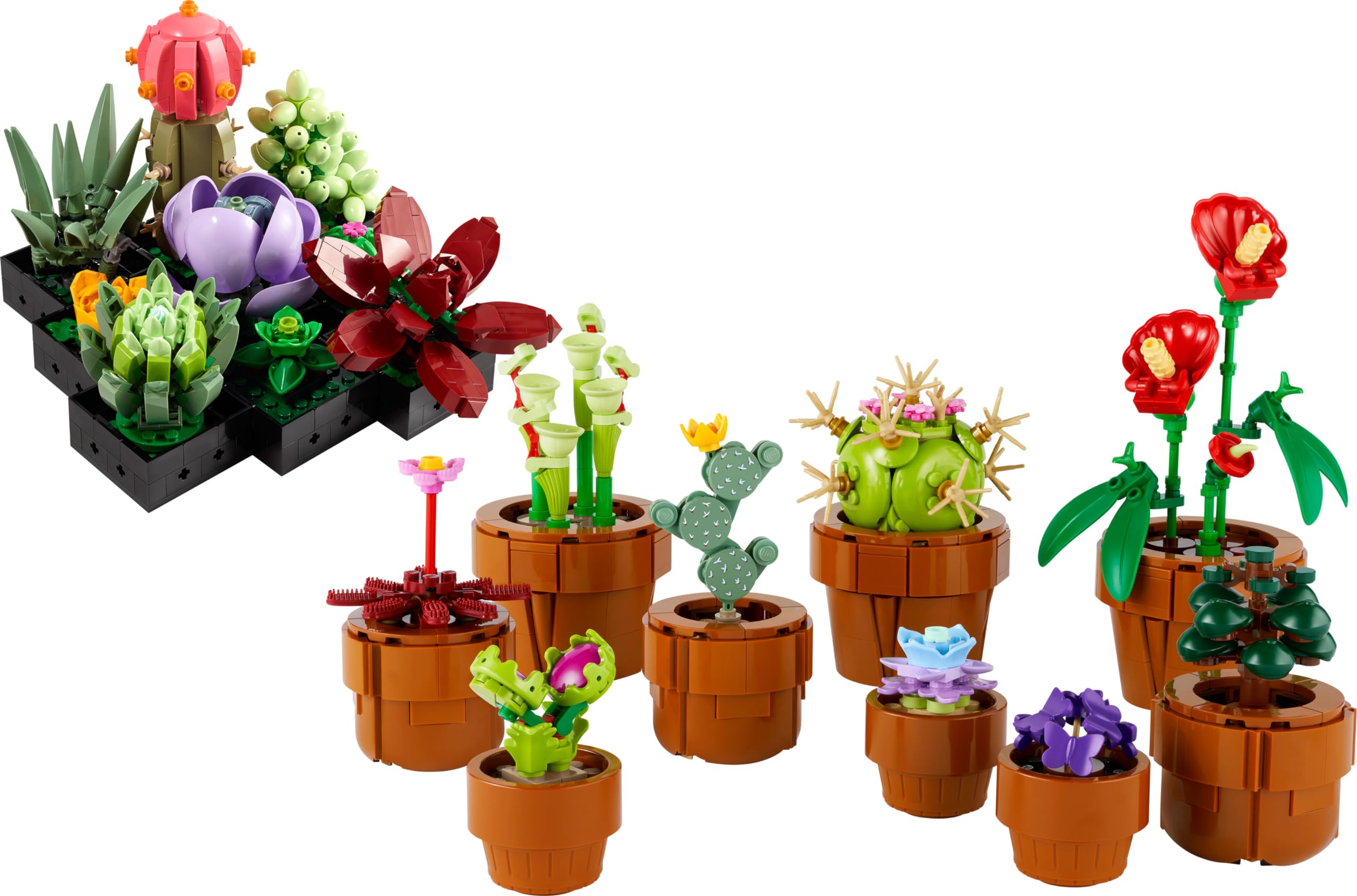 Bundle of LEGO 10309 Icons Sukkulenten Künstliche Blumen Set für Erwachsene + LEGO 10329 Icons Mini Pflanzen, 9 künstliche Blumen zum Bauen, Botanical Collection Sammel-Set für Erwachsene
