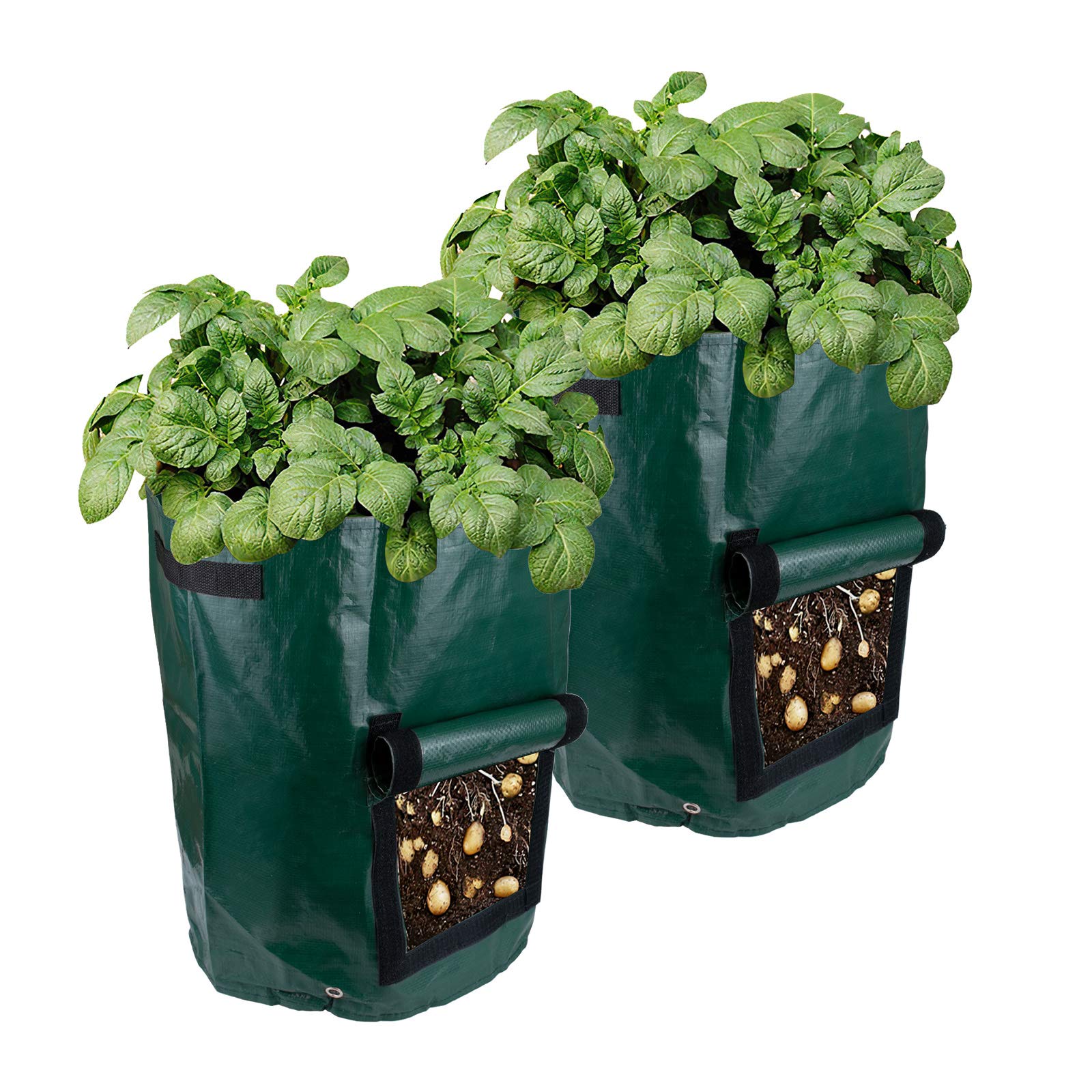 Bolsas de Cultivo de Patatas, Paquete de 3 Bolsas de 10 galones para macetas, Bolsas de Cultivo de Tomates, macetas, Bolsas de Plantas, Bolsas de Bandeja de Cultivo de Plantas para Verduras