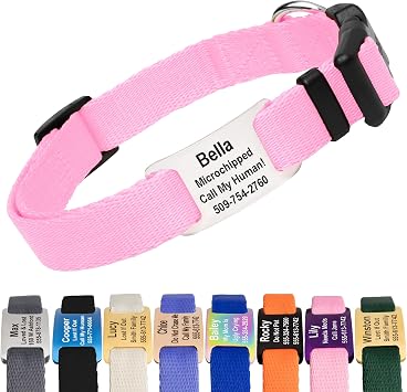 GoTags Personalized Dog Collar with Nameplate, Adjustable with Custom Engraved Slide On Pet ID Tag in Stainless Steel, Silent, No Noise Dog Tag for Large Medium and Small Pink, Large Pack of 1