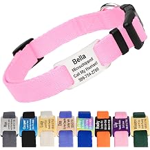GoTags Personalized Dog Collar with Nameplate, Adjustable with Custom Engraved Slide On Pet ID Tag in Stainless Steel, Silent, No Noise Dog Tag for Large Medium and Small Pink, Large Pack of 1