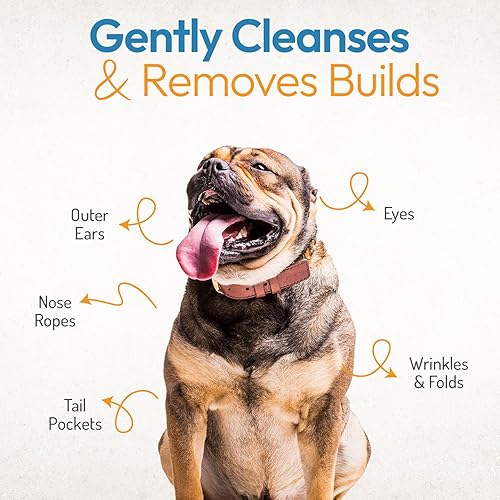 Miniatura 6 de Toallitas antiarrugas para perros  100 toallitas antiarrugas para perros Bulldog francés, Bulldog inglés, Pugs  Toallitas grandes de 3.15 pulgadas