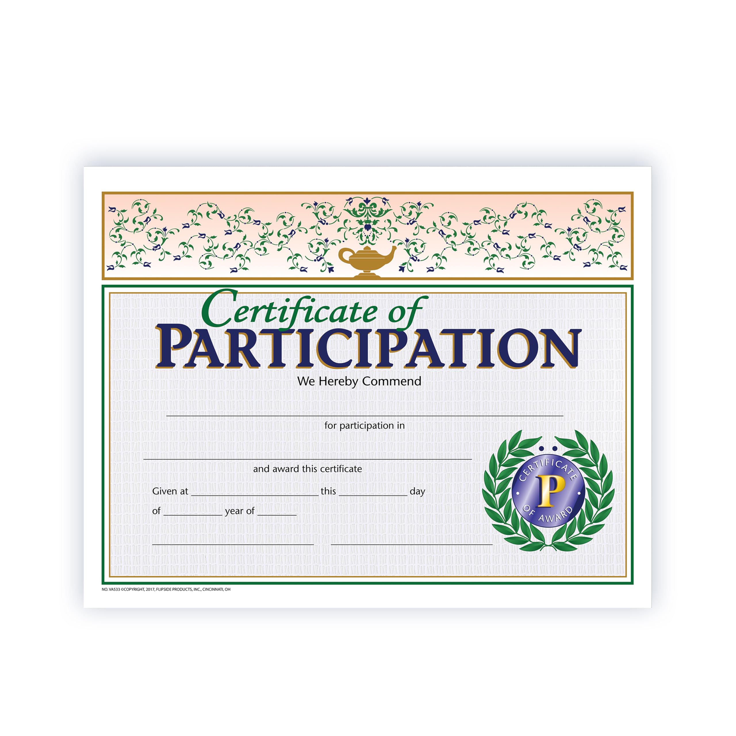 HAYES SCHOOL PUBLISHING VA533 Participation Certificate