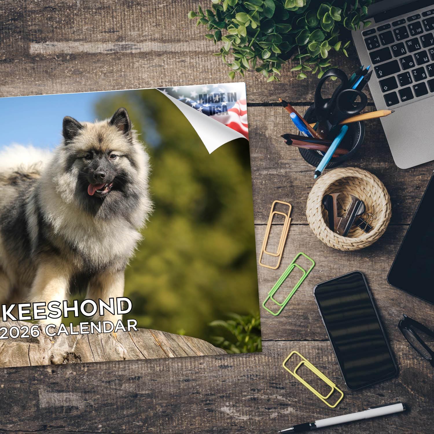 Kalendarz Keeshond 2024 2025 - miesięczny kalendarz ścienny rasy psów - 30 x 45 cm otwarty - gruby papier bez przebarwień - prezent - akademicki planer nauczyciela kalendarz organizowanie i planowanie