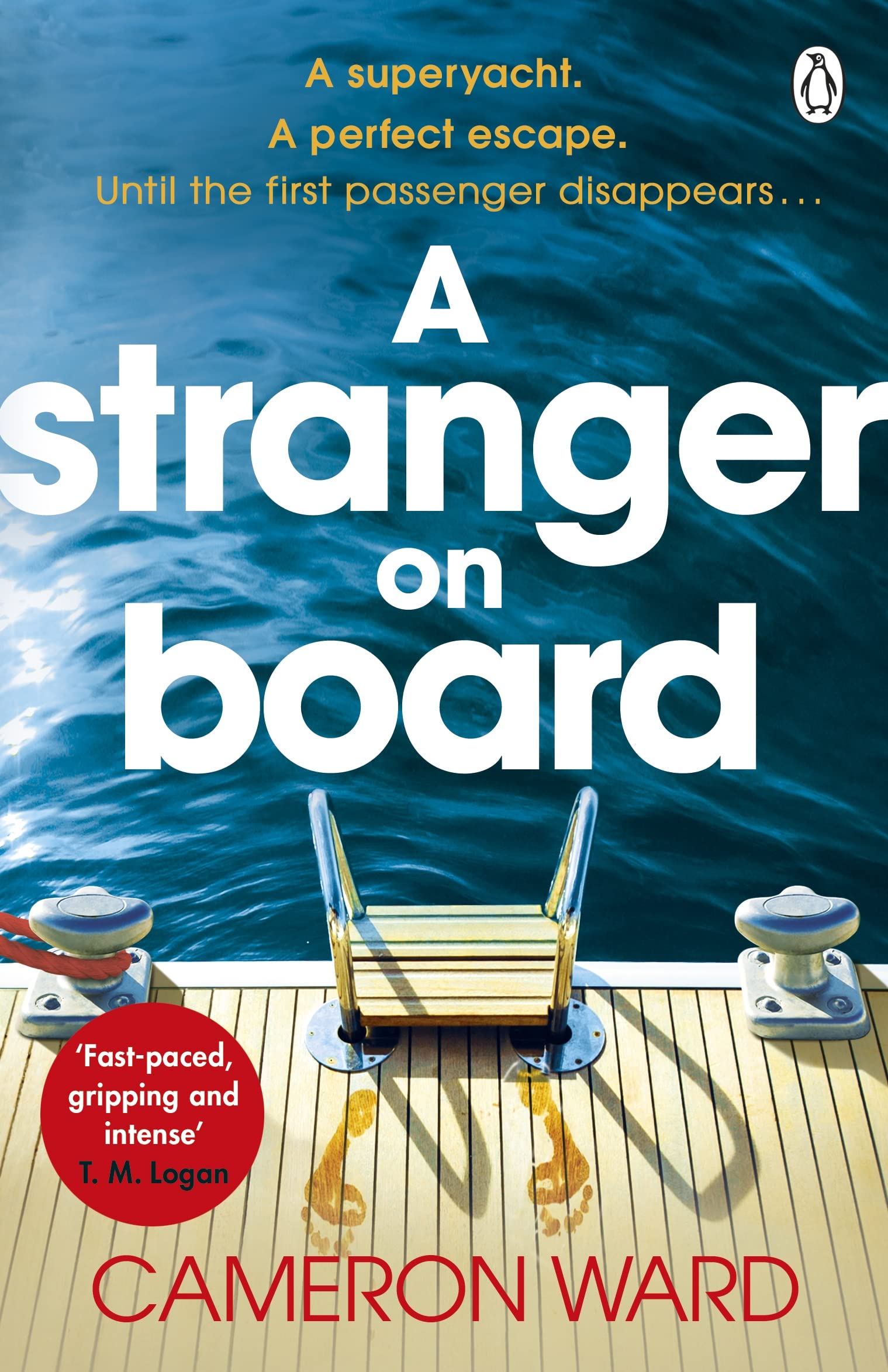 A Stranger On Board: The tense and unputdownable escapist thriller