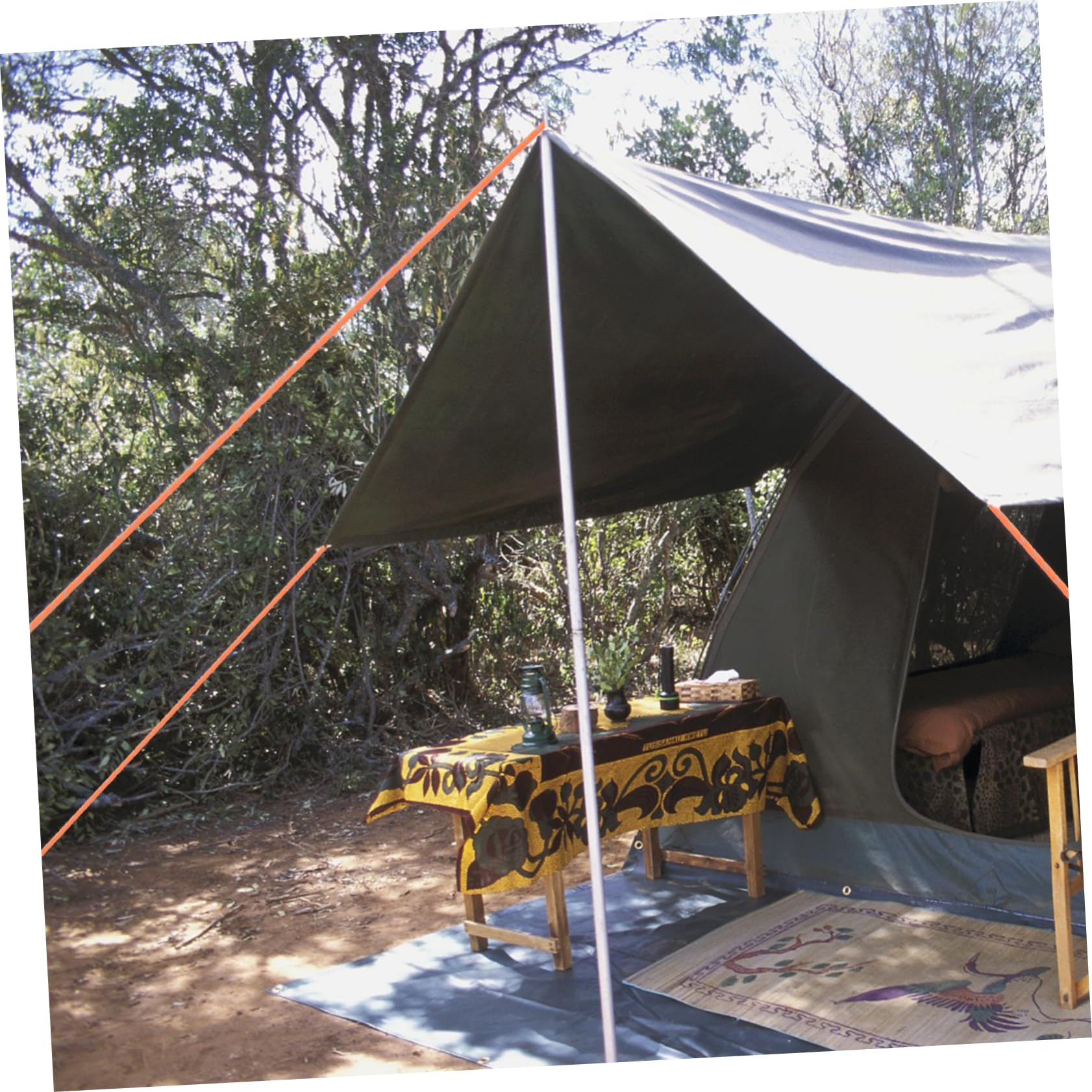 Supvox Reflektierendes Zeltseil Zum Abspannen Für Campingzelte Windfeste Seile Für Planen Pavillons