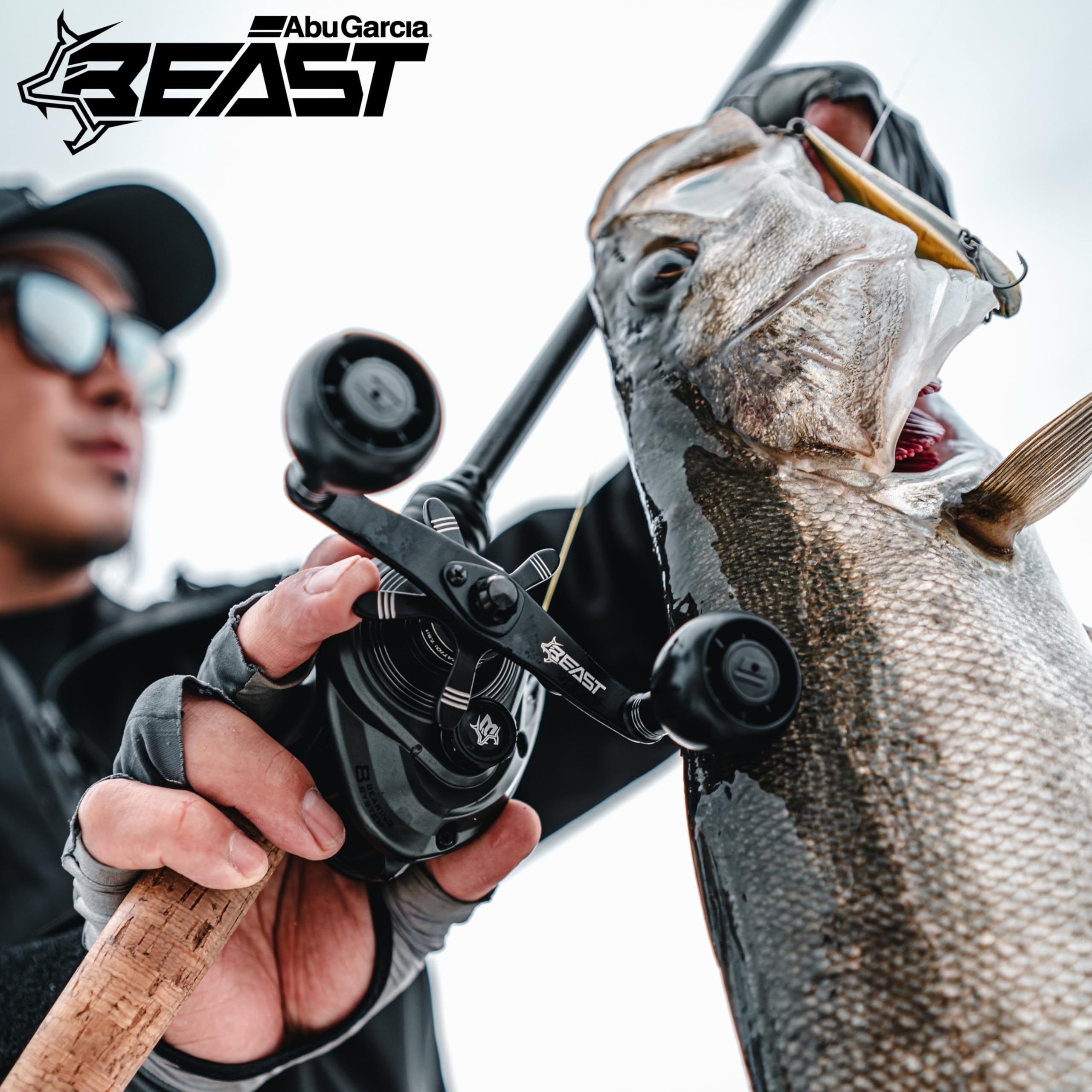 Amazon.co.jp: アブガルシア（Abu Garcia）: シーバス