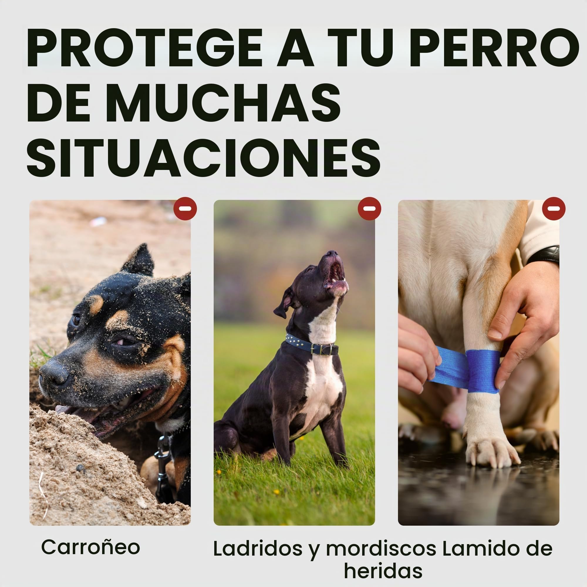 BronzeDog Bozal de Perro Pitbull máscara de Metal Amstaff Cesta de Alambre Pit Bull Correas de Cuero Ajustables para Perros Grandes