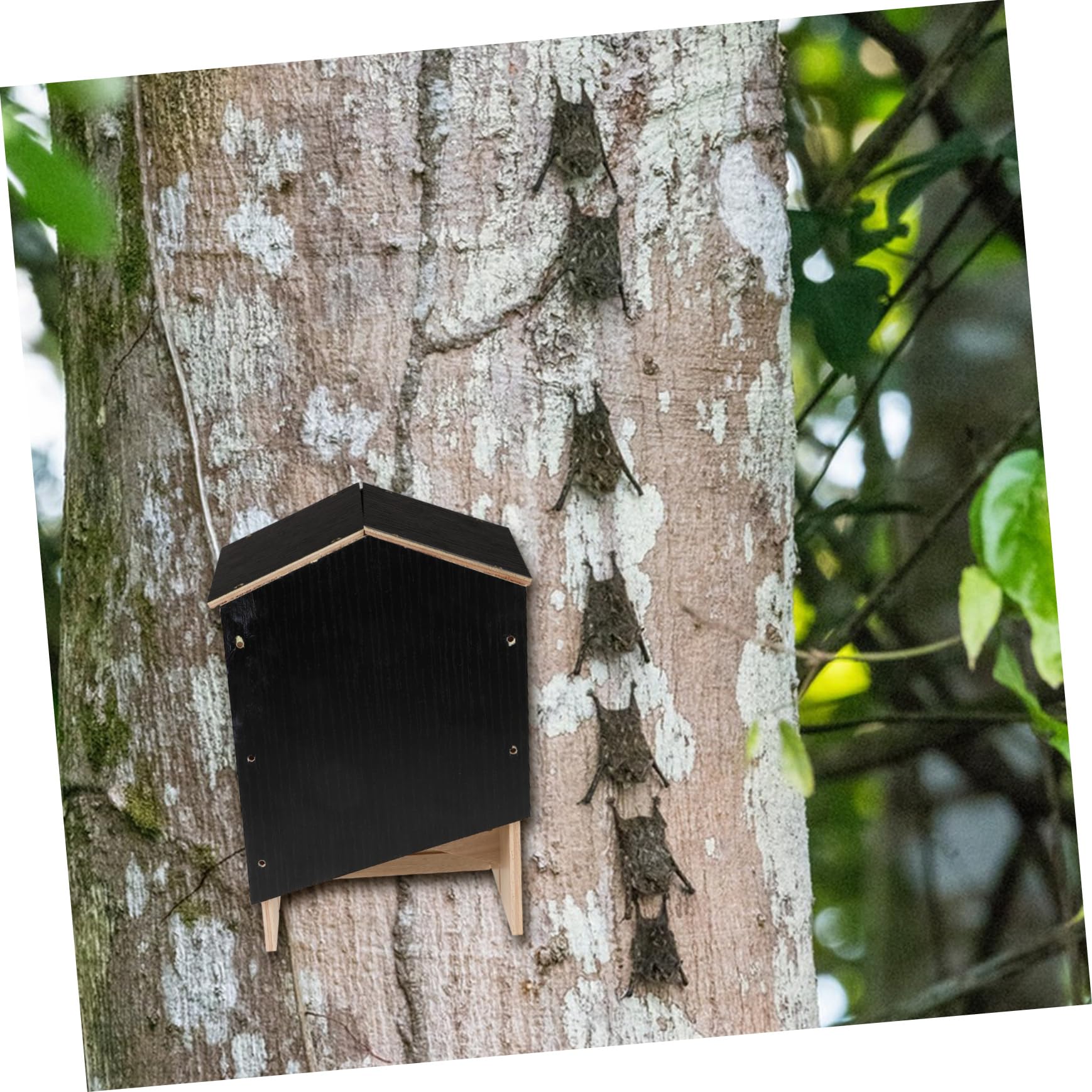 Handgefertigter Fledermauskasten für Garten Halloween Geschenkideen