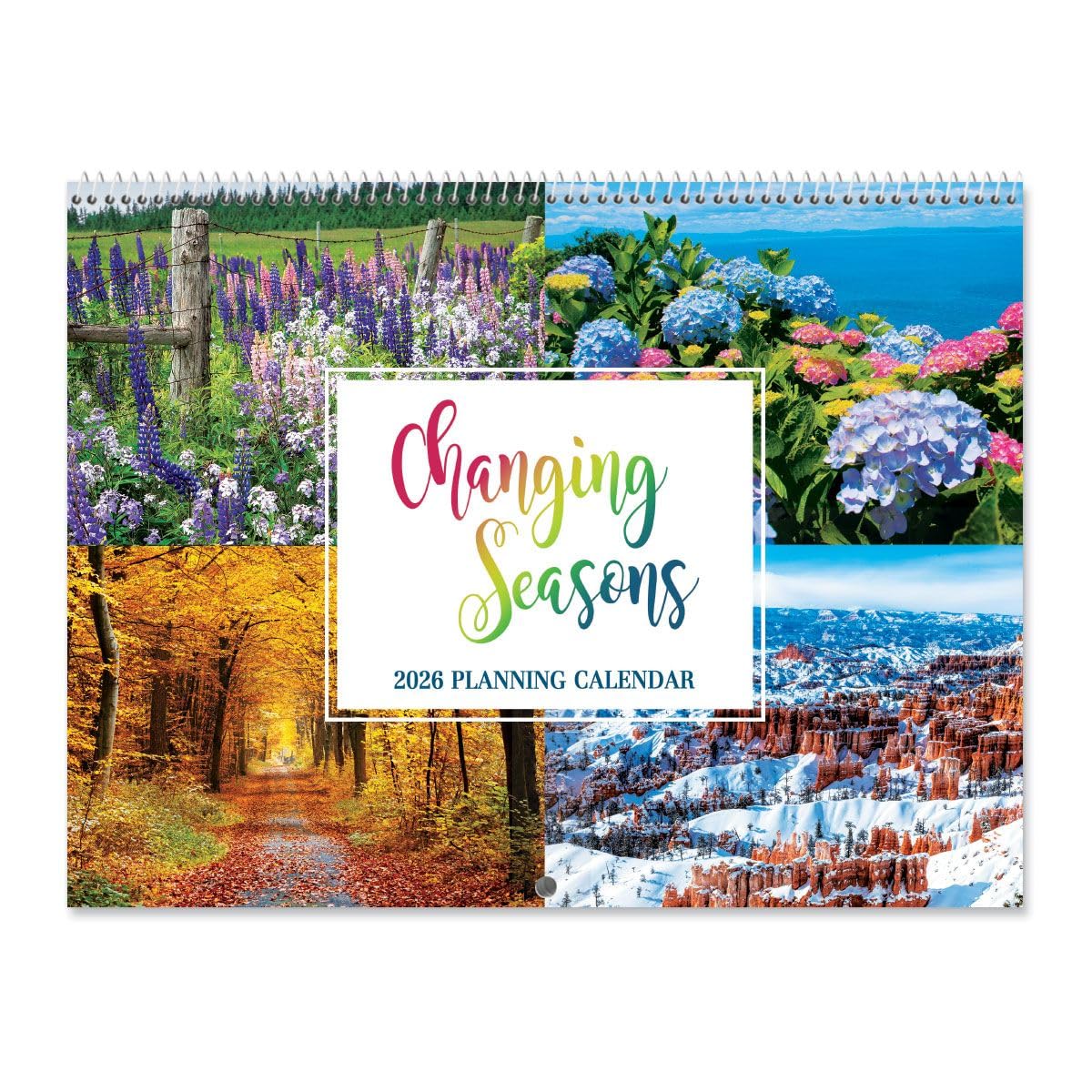 2026 Seasons Big Grid Wall Calendar, 12-Inch x 9-Inch Size Closed, 18-Inch Size Open, Large Bookstore-Quality, Spiral-Bound Hanging Monthly Calendars