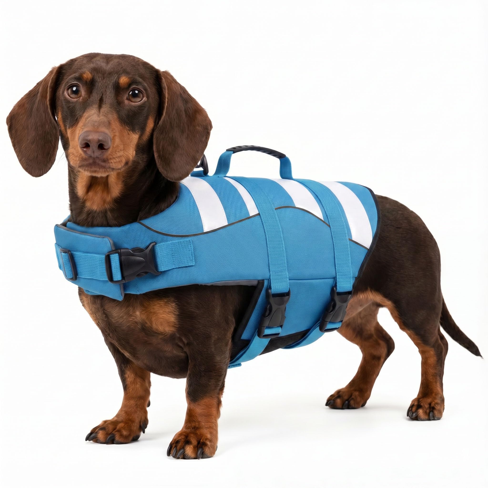 ASENKU Giubbotto di salvataggio per cani di piccola taglia, stile sportivo, con presa di salvataggio, regolabile, buona galleggiabilità, per bassotto Chihuahua Bulldog francese Labrador