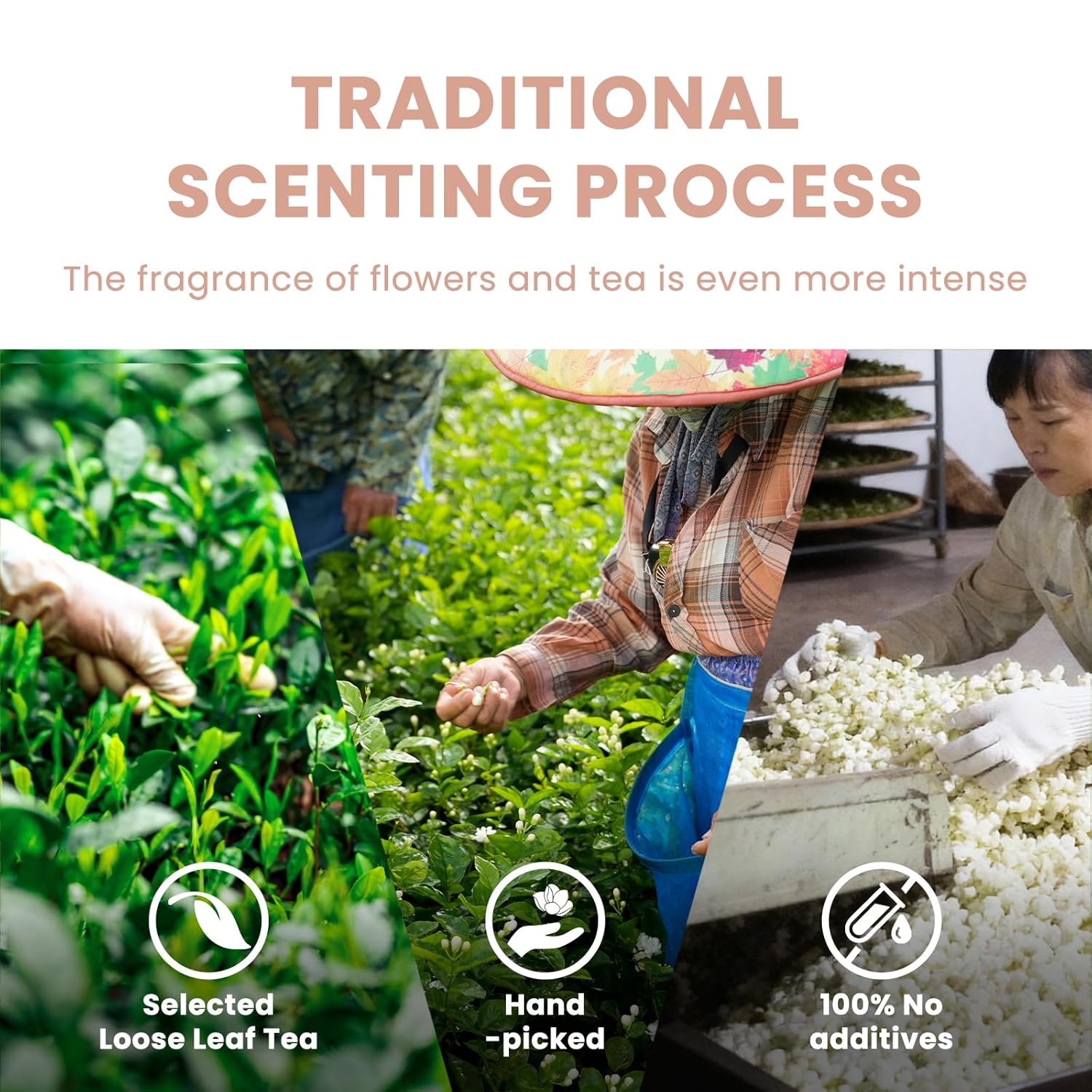 iTeaworld China Flower Tea Series, 10 Different Tea Variety Pack(Jasmine Green Tea, Rose Black Tea, Pomelo Blossom Oolong ect.), Each Flavor Comes With 2 Packs Of Loose Leaf Tea Sampler, A Great Tea Bags Variety Pack Gift Set, 3.5oz