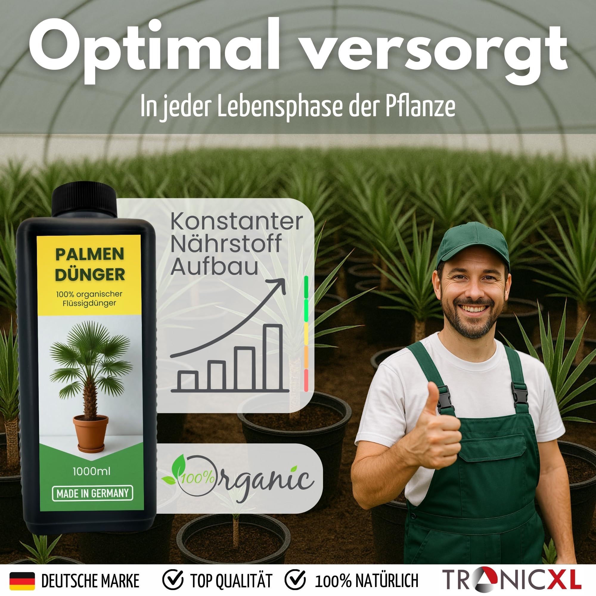 Natrlicher Hanfpalmendnger 1L Hanfpalme Dnger Palmendnger 1 Liter  Flssigdnger fr drinen und drauen Auen Pflanzendnger  Pflanzenstrkungsmittel Blatt- & Wurzeldnger organisch 1000ml : Amazon.de:  Garten