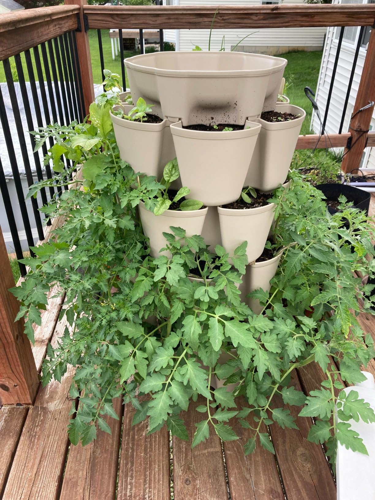 Multiple Greenstalk planters on patio