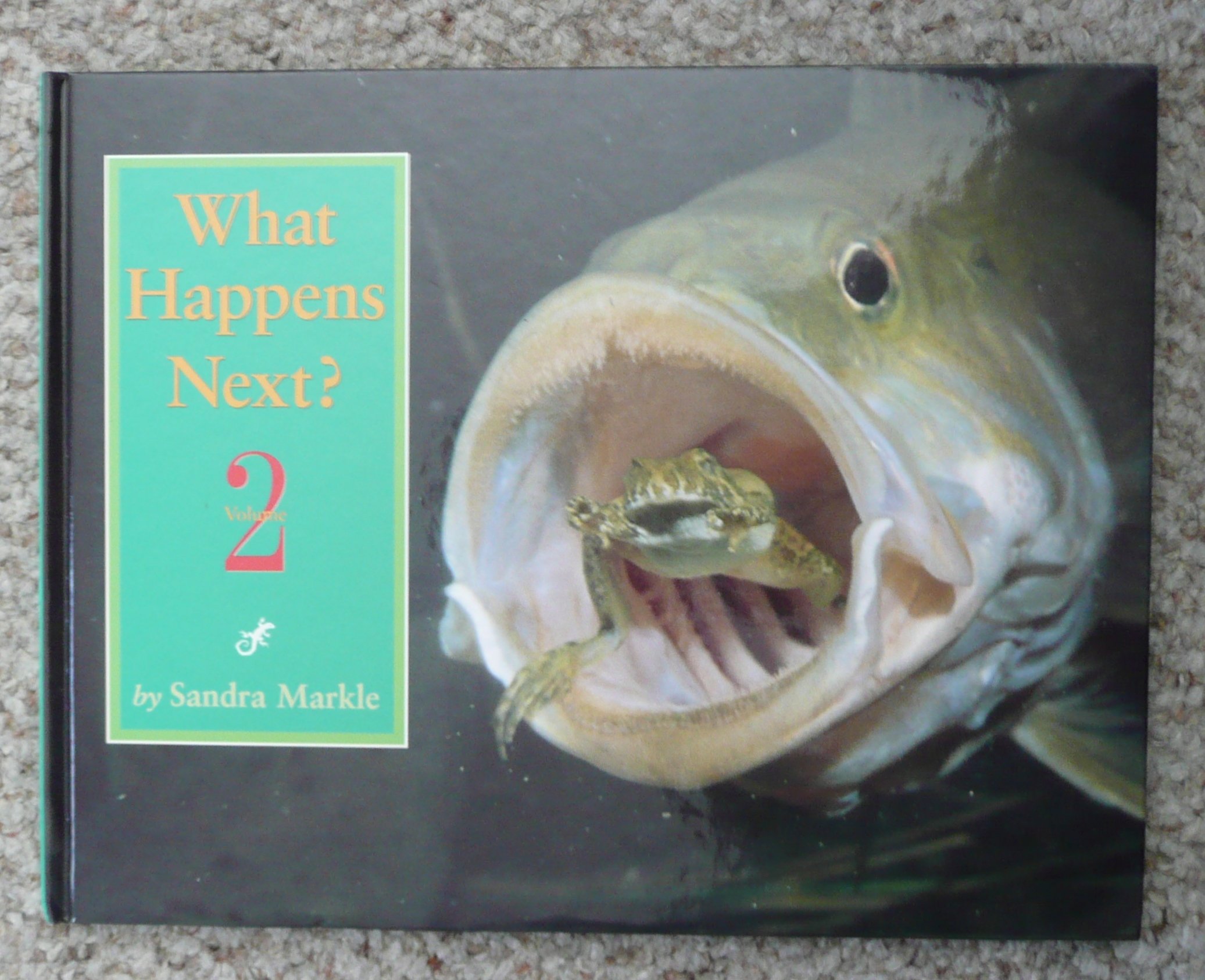 WHAT HAPPENS NEXT VOL2