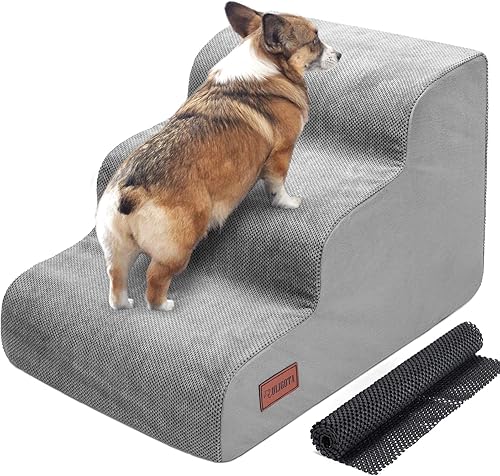 柴犬の後ろ足ふらつきが最初のサイン