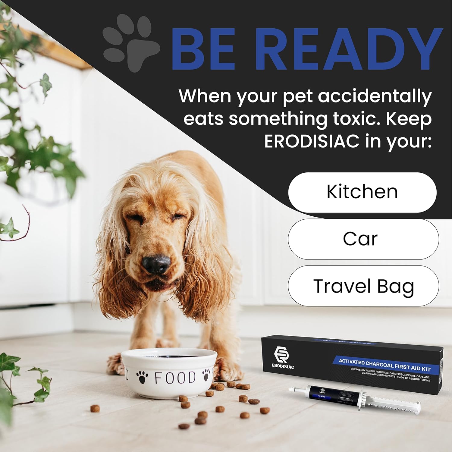 Activated Charcoal First Aid Kit Emergency Rescue for Dogs, Cats, Oral Paste for Dogs, Poisoning Kit, Oral Anti Diarrhea Digestive Paste Ready to Absorb Toxins