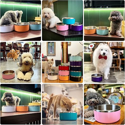 Miniatura 4 de Cuenco para perros para comida y agua, cuenco de alimentación de mascotas de acero inoxidable de 40 onzas, duradero, antideslizante, con aislamiento