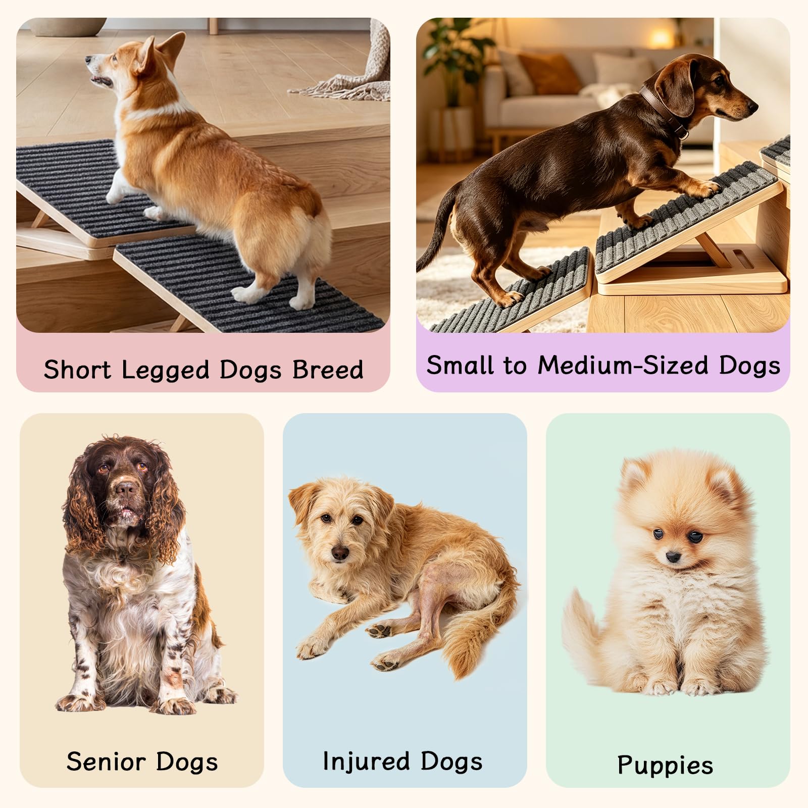 4 rampe per cani per scale, pieghevoli, regolabili in altezza, per cani di piccola taglia, antiscivolo, per cani e gatti, senza montaggio, per divano e letto