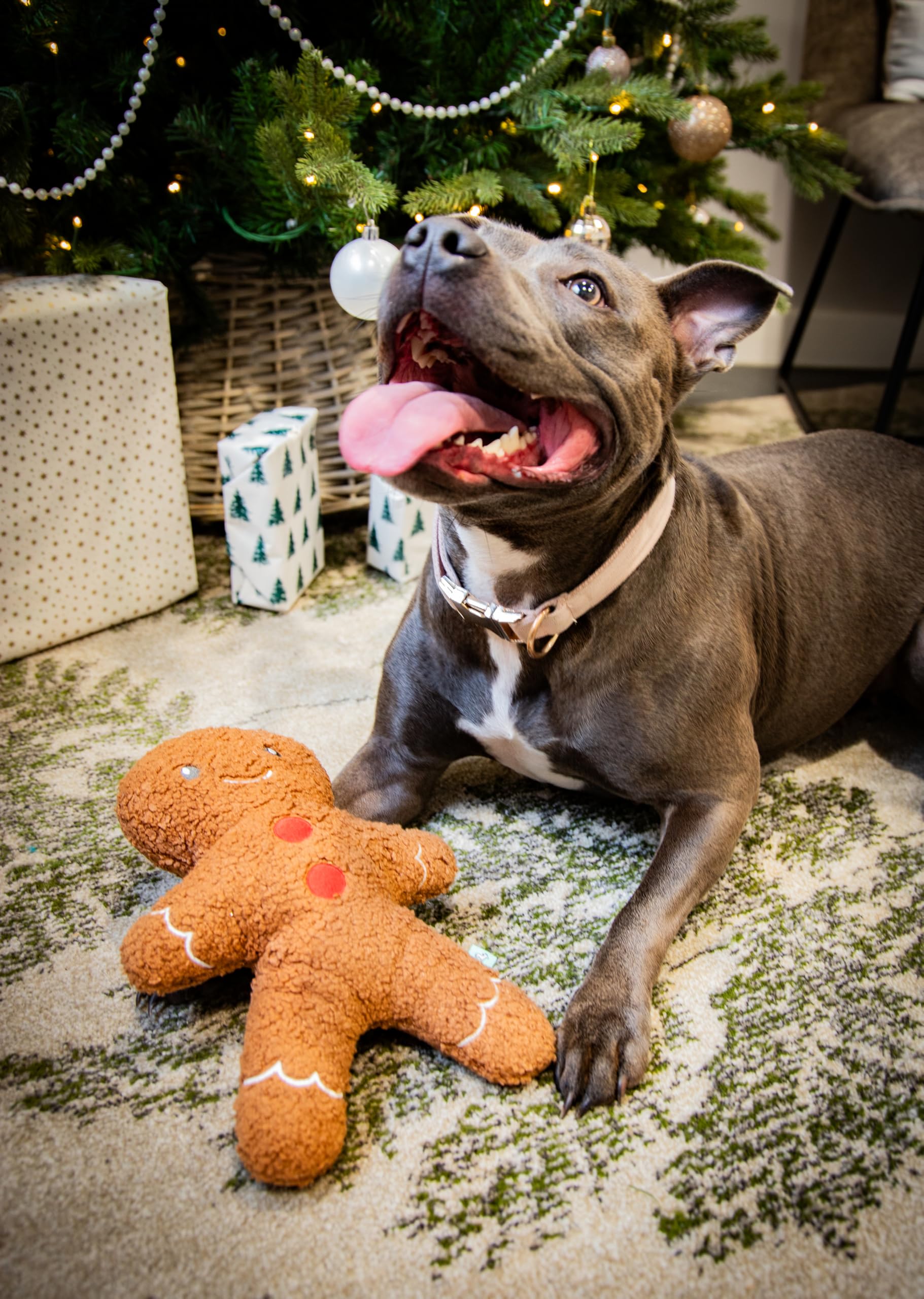 Tufflove Gingerbread Dog Toy, Luxury Textured Plush Toy, Soft and Cuddly Outside, Reinforced Seams & Protected Squeaker - Image 2