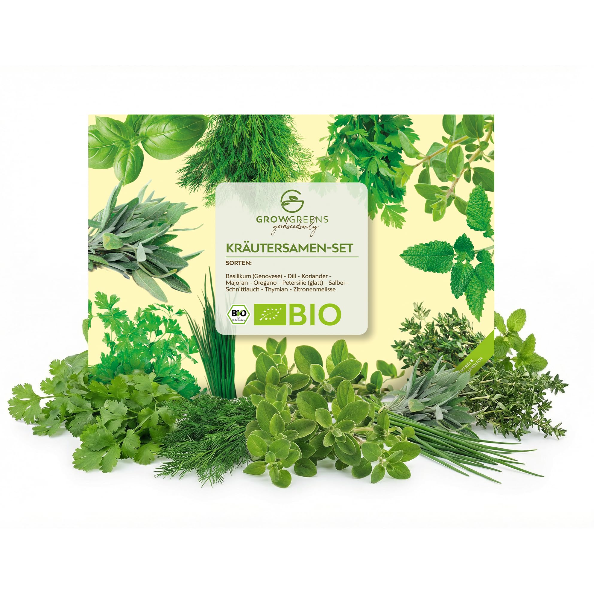 BIO Kit de graines d'herbes aromatiques à planter