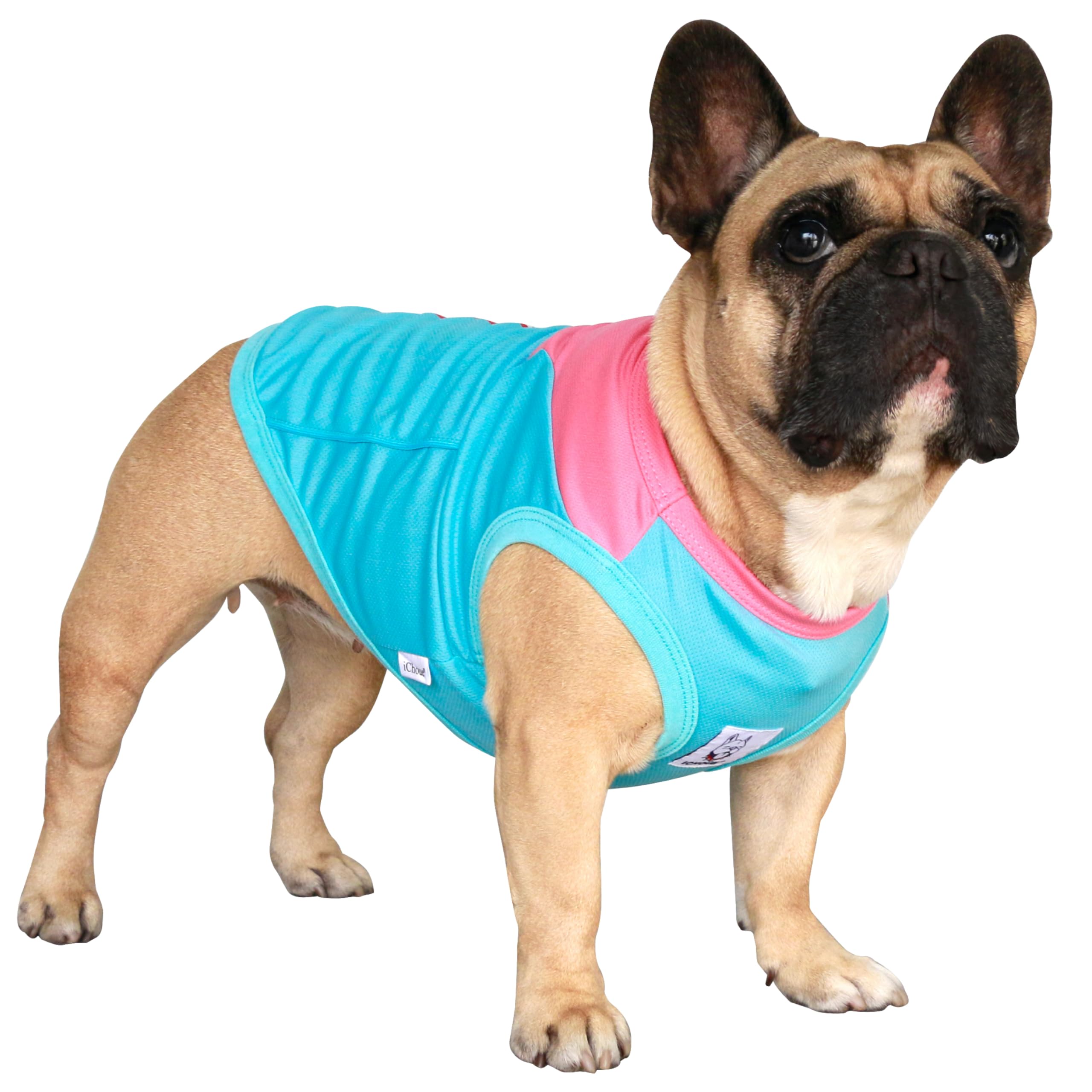 iChoue French Bulldog Summer Cooling Shirts Turquoise Rose - Large Plus