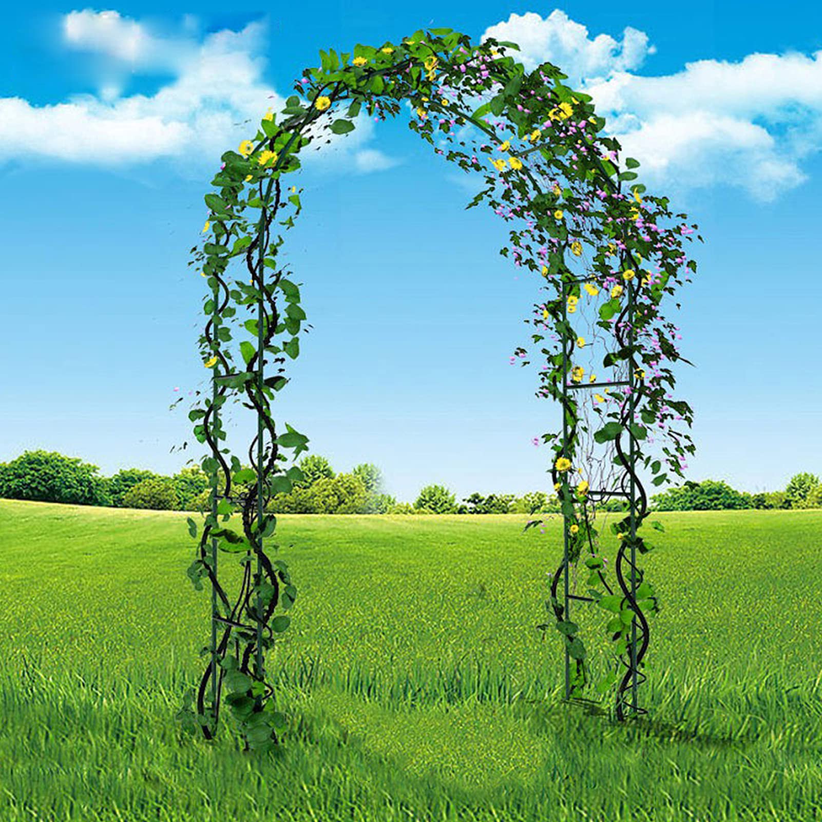 Treillis autoportant et arche à rosiers en métal - Pergola de jardin extérieure résistante au gel