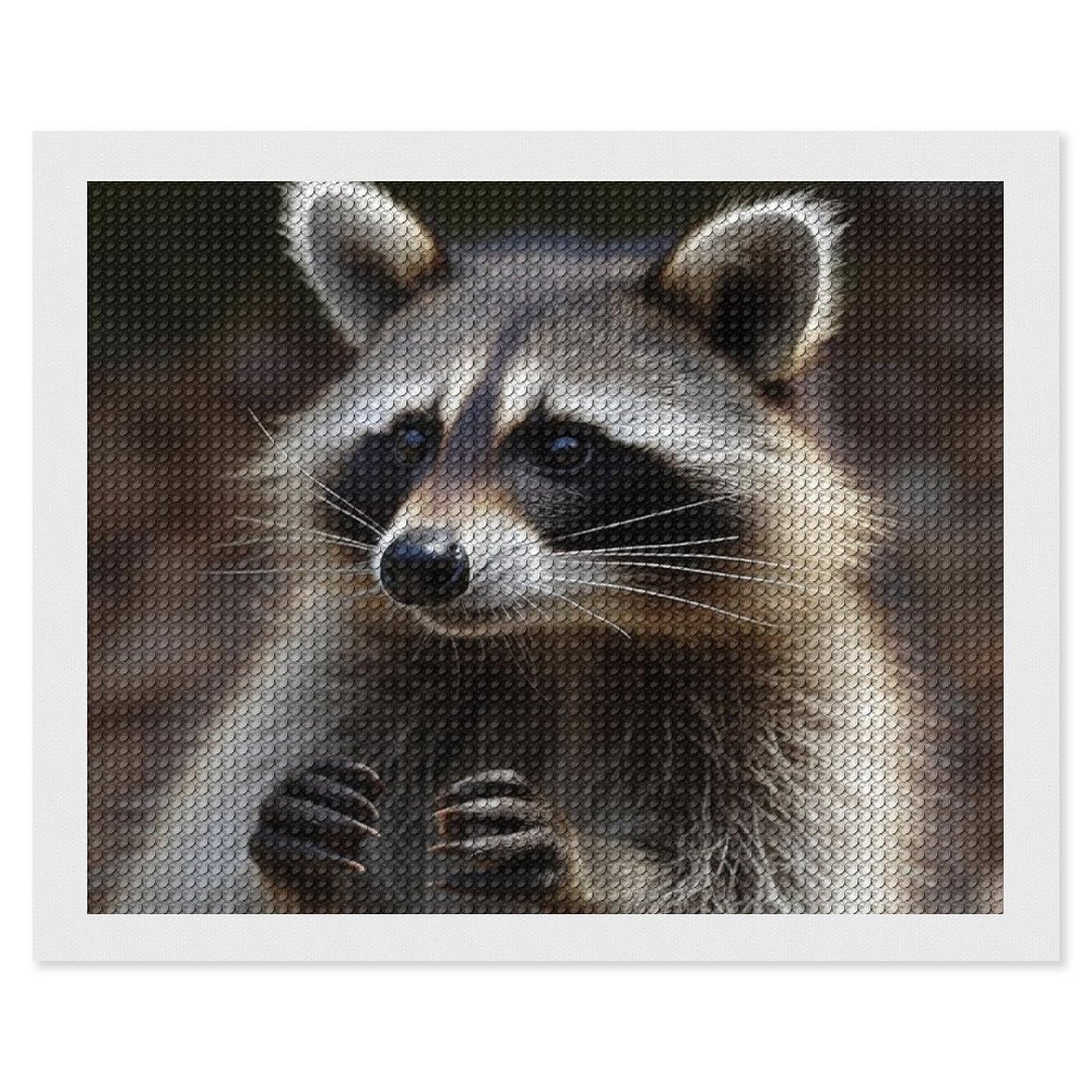 Raccoon Diamond Art Kits for Adults, DIY 5D Diamonds Painting Kits for Beginner, Round Full Drill Diamond Dots Painting, 16"x20" Diamonds Pictures Gem Art and Crafts Wall Decor